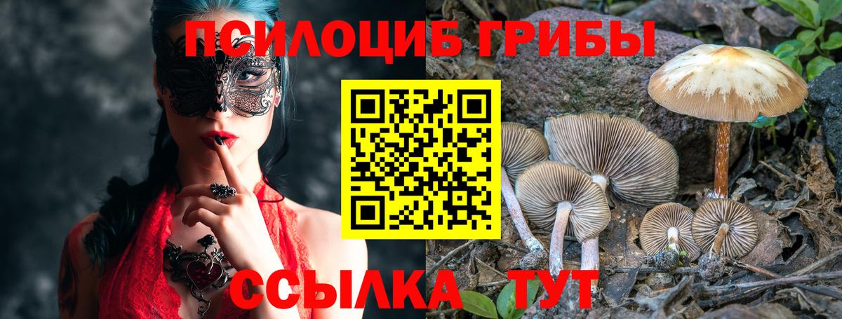Псилоцибиновые грибы Psilocybine cubensis Калуга